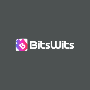 BitsWits Chicago - Mobile App Development