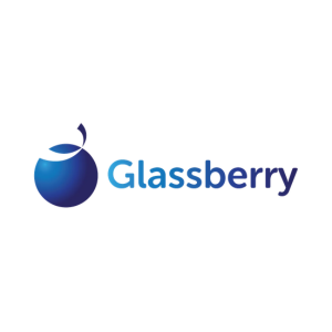 Glassberry It Solutions Pvt Ltd | SEO Agency