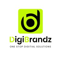 Digibrandz It Solutions - Digital Marketing Agency