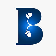 Brandingnuts - Digital Marketing Agency