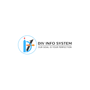 Div Info System - Best Seo Company