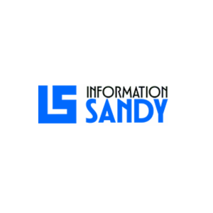 INFORMATION SANDY - SEO Agency in Chandigarh