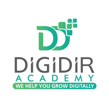 DigiDir- Best Digital Marketing Agency delhi