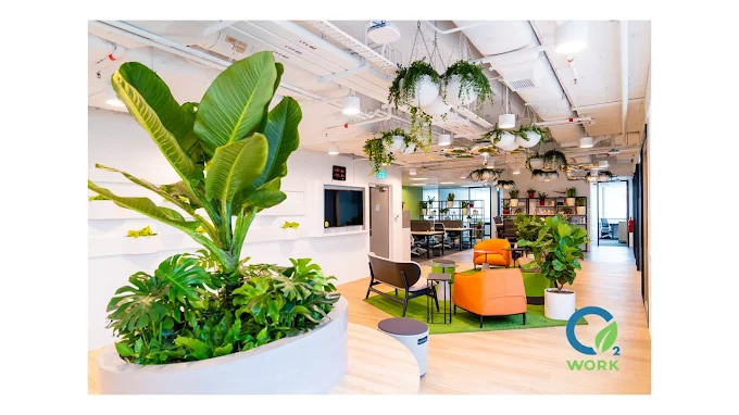 NEO360: 360 AI Digital Marketing Agency Singapore Photo 3