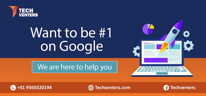Techventers - Best Seo Company In Noida Photo 3