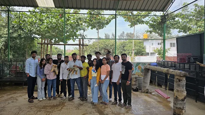 Hirola Infotech Solutions - Best AI Seo Agency Photo 6