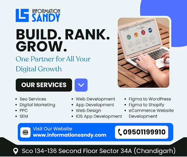 INFORMATION SANDY - SEO Agency in Chandigarh Photo 4
