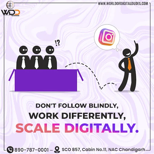 World of Digital Dudes - AI SEO Agency Photo 3