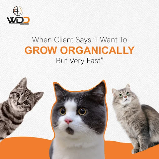 World of Digital Dudes - AI SEO Agency Photo 5