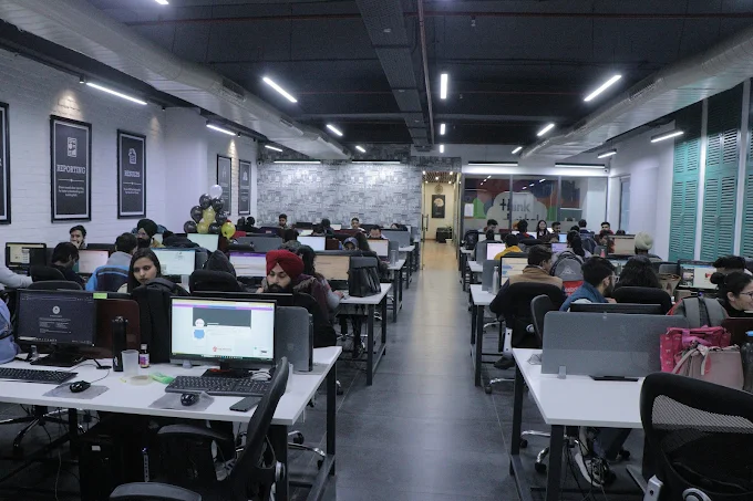 SEO Discovery Pvt LTD | AI SEO Agency Photo 2