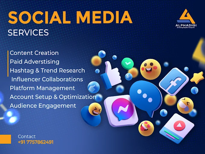 Alphadigi: Best Seo Agency Photo 3
