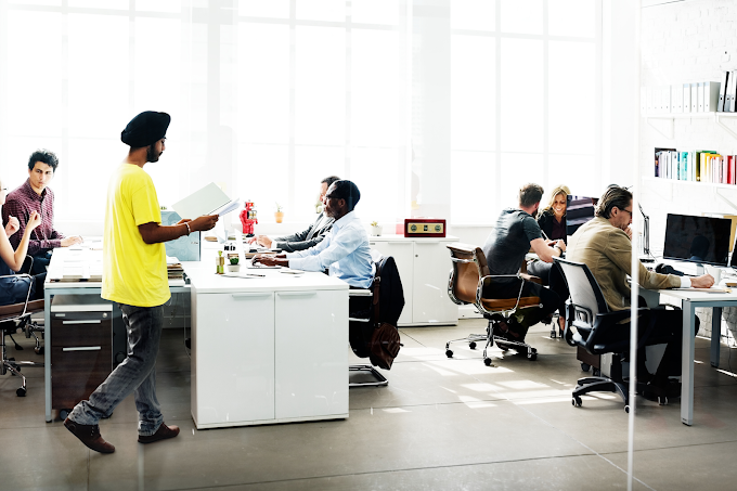 Owl Prime - Digital Marketing Agency Photo 3
